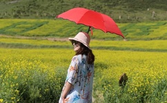 驯服上司人妻HD中字日本